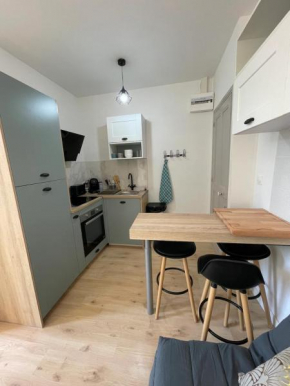 LE PASTEL Superbe appartement Avignon